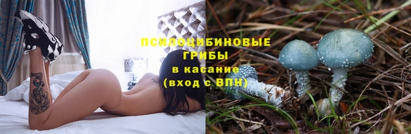 mdpv Медногорск