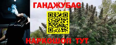 гидропоника Будённовск