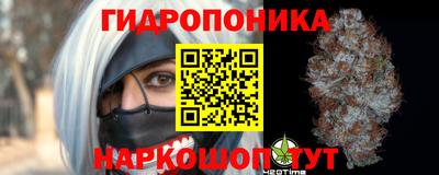 гидропоника Будённовск