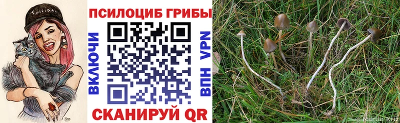 Галлюциногенные грибы мицелий  цена   Рыбинск 