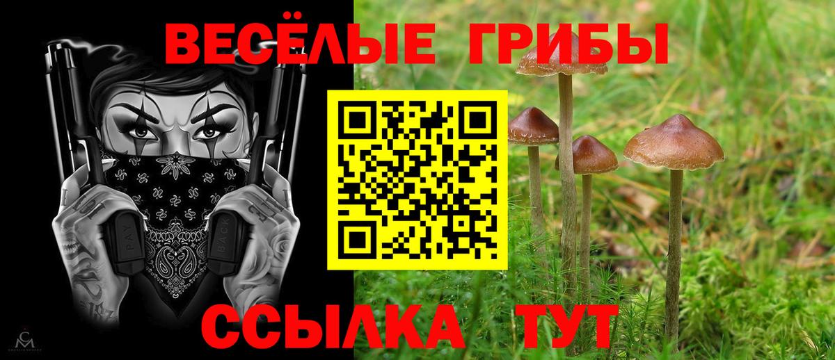 Галлюциногенные грибы прущие грибы  Вход с VPN  продажа наркотиков  Рыбинск 