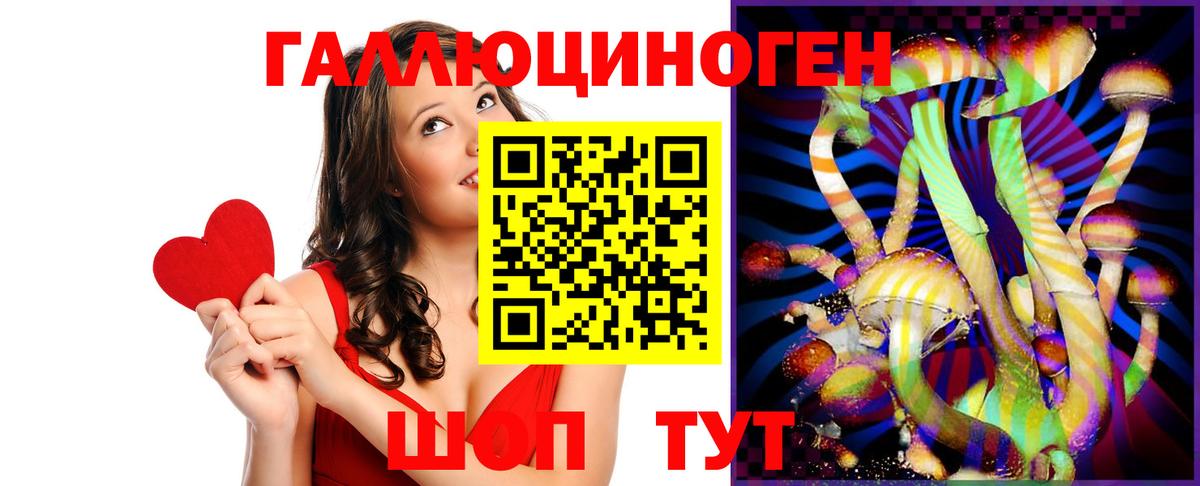 Псилоцибиновые грибы Psilocybine cubensis Рыбинск